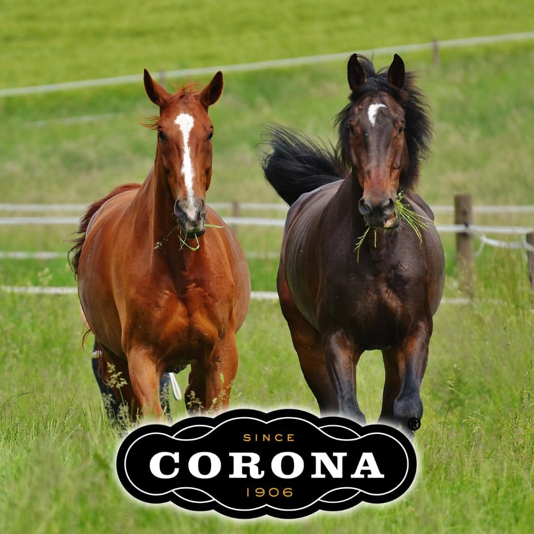 Corona Ointment for Horses|Lanolin Based Formula Helps Sooth Irritation|7 Ounces | Soothing Relief for Hooves, Skin, Joints, and Muscle Care - Image 3