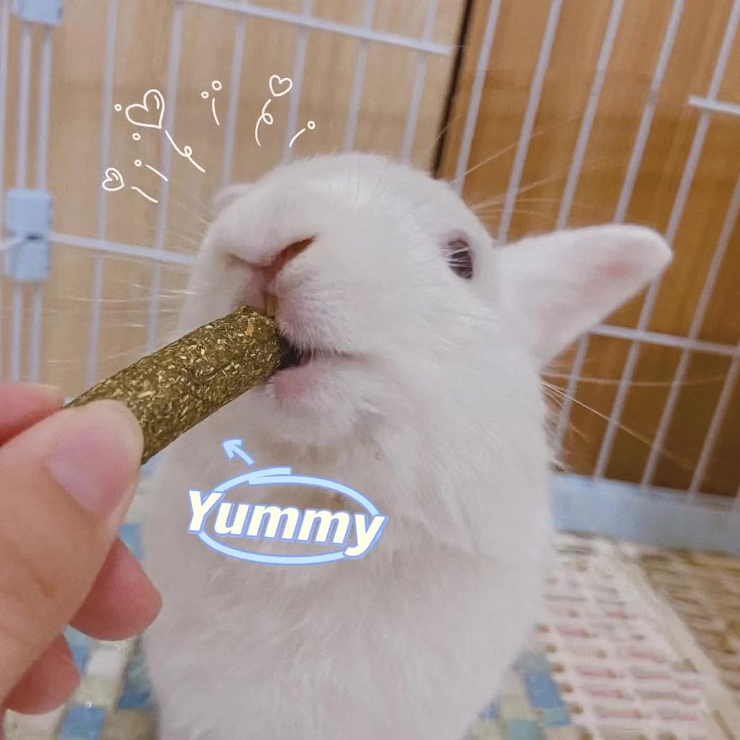 Grddaef 20 PCS Bunny Chew Toys for Teeth, Natural Rabbit Toys Apple Wood Grass Timothy Sticks Chew and Treat for Guinea Pigs Hamster Chinchillas - Image 7