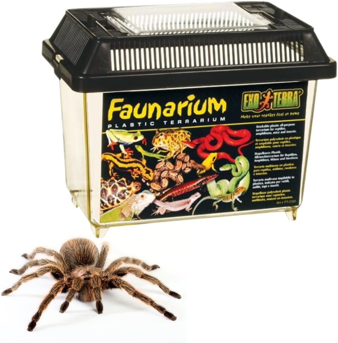 Exo Terra Faunarium Small PT2255 – Plastic Reptile Terrarium and Transport Container for Lizards, Spiders & Amphibians