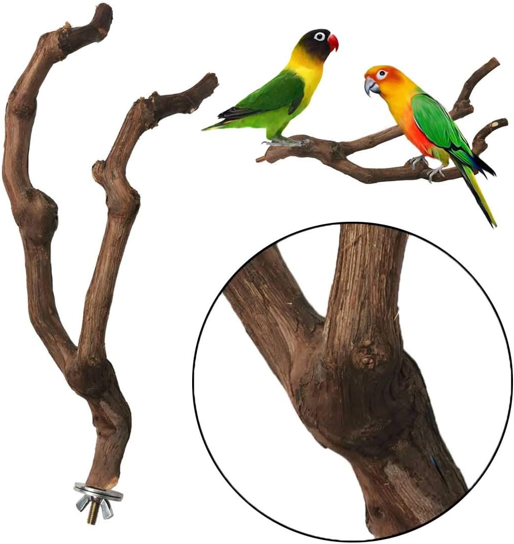 kathson Natural Parrot Perch Bird Stand Pole Wild Grape Stick Paw Grinding Fork Parakeet Climbing Standing Branches Toy Chewable Cage Accessories for Small Budgies Cockatiels Lovebirds 3PCS - Image 5