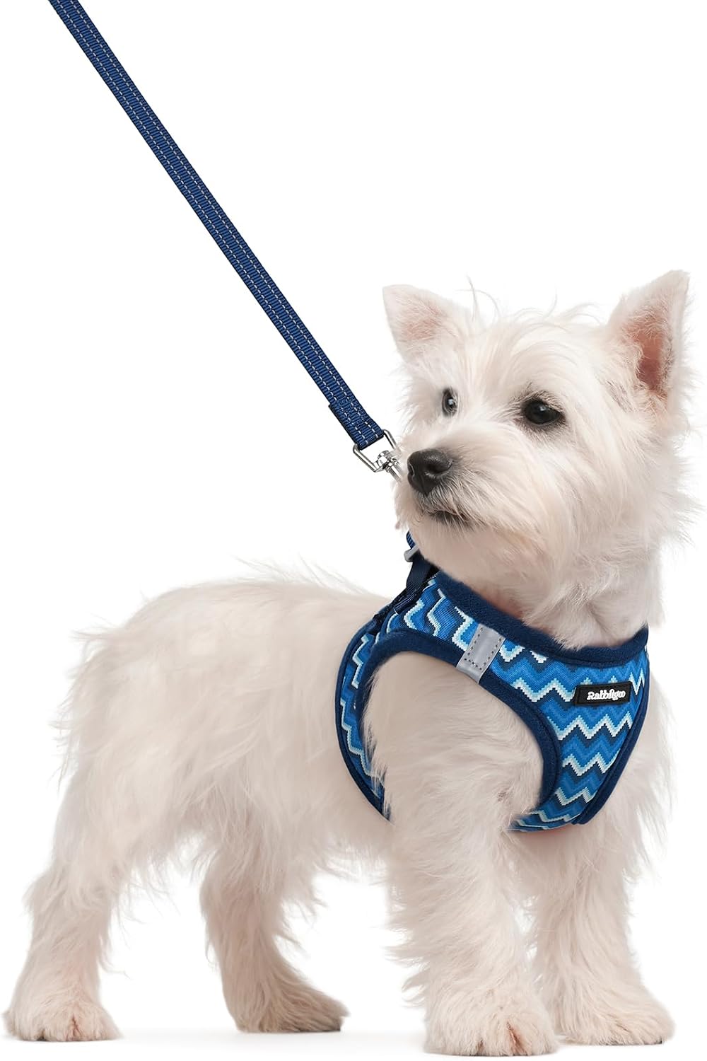 rabbitgoo Dog Harness Small Sized and Leash Set, Step in Soft Light Puppy Vest, Breathable Mesh Pet Harness, Reflective for Safe Easy Walking, Blue Zigzag S