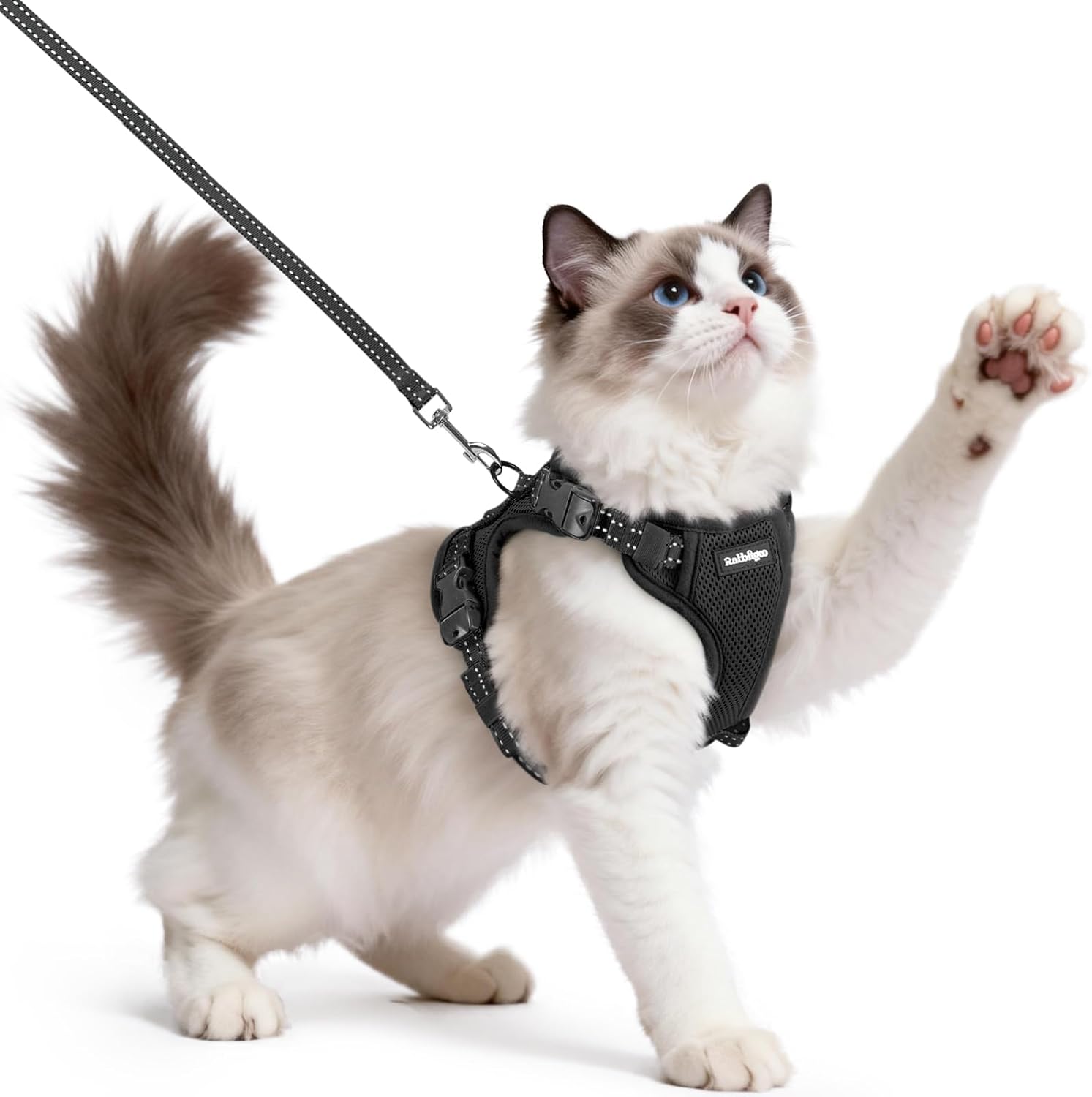 rabbitgoo Cat Harness and Leash, Easy-on with Neck Buckle, Black | Escape Proof, No Over-the-head, Soft Air Mesh, 3 Lockable Adjusters & Buckles, Reflective, for Medium to Large Cats Walks, M