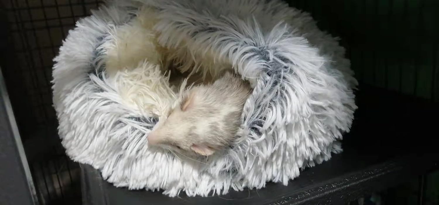 Ferret Bed Cave and Hideouts,Ferret Hideaway Bed Accessories for Cage Ferret Beds and Hideouts (Gray) - Image 6