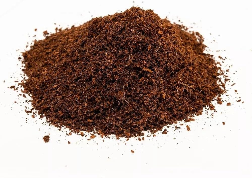 Zoo Med Eco Earth All-Natural Loose Coconut Fiber, Safely Composted, Tropical Substrate for Reptiles (8 Quarts, 2-Pack) - Image 5