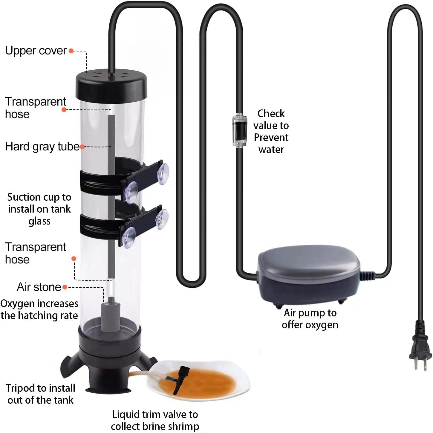 Brine Shrimp Hatchery Kits brines Shrimps Eggs Incubator Hatchery brine Shrimp Eggs Incubator Artemia Hatcherying with Silver air Pump - Image 2