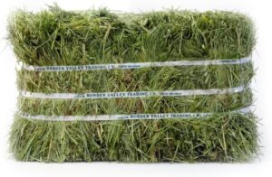 Border Valley Timothy Hay Bale in B...