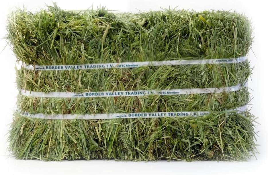 Border Valley Timothy Hay Bale in Bag, 40 lb - High Fiber Grass Hay for Rabbits, Guinea Pigs, Chinchillas, Tortoises, Horses and Livestock - Classic Coarse Grass Hay, Farm-to-Home Freshness