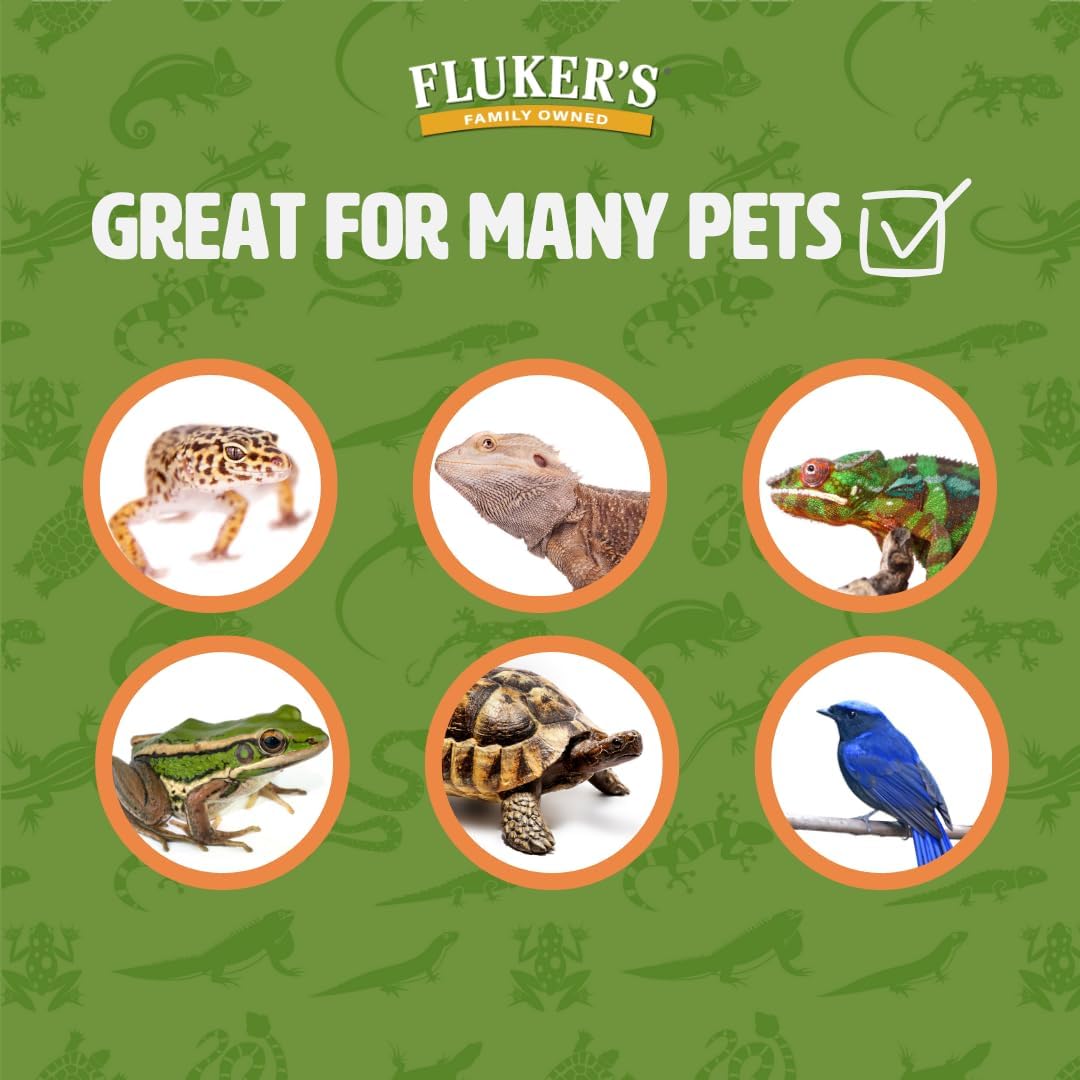 Fluker's Live Crickets, 100 Count Feeder Insects for Reptiles, Chickens, and Birds, Large (Approx. 3/4") - Image 3