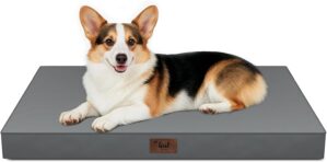 Outdoor Waterproof Orthopedic Dog B...