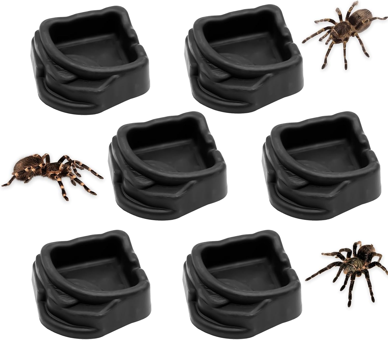 6 Pcs Spider Micro Water Bowls, Mini Resin Dish for Tarantula, Spider, Millipede and Tiny Reptiles, Food/Water Dish for Enclosure Accessories (1.65" D, 0.59" H)