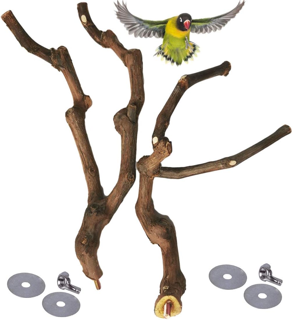 kathson Natural Parrot Perch Bird Stand Pole Wild Grape Stick Paw Grinding Fork Parakeet Climbing Standing Branches Toy Chewable Cage Accessories for Small Budgies Cockatiels Lovebirds 3PCS - Image 7
