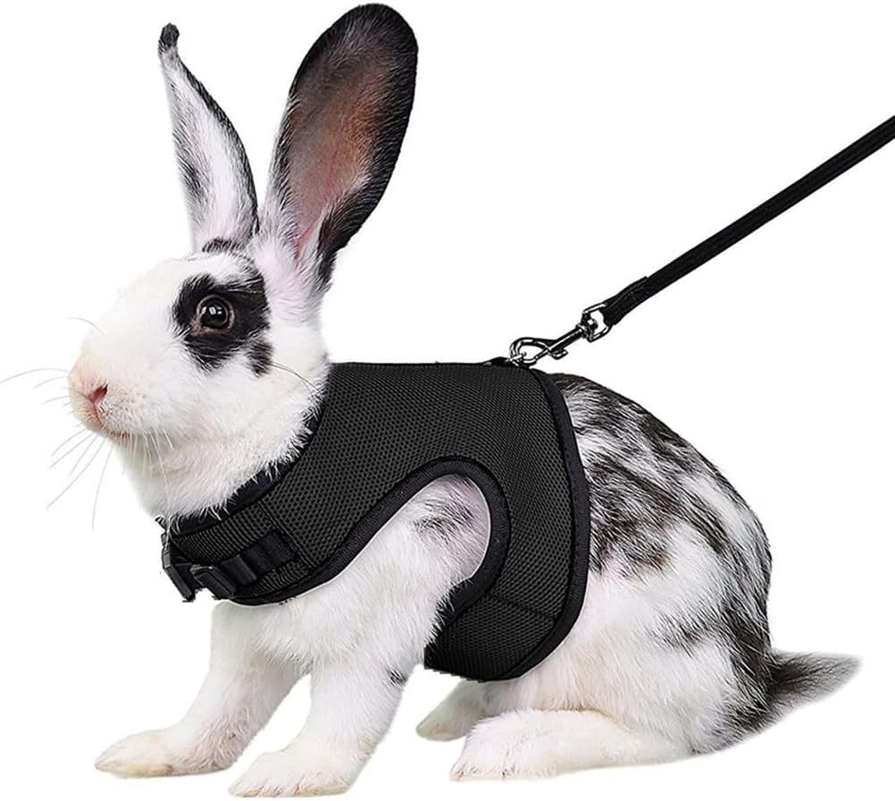 Black Bunny Harness and Leash, Escape Proof Rabbit Harness and Leash Set, Cute Bunnies Vest Clothes Stuff Accessories, Suit for 7+ Months Rabbit/Ferret, XL