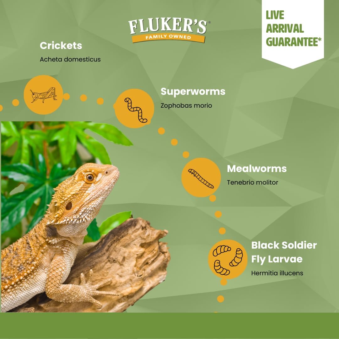 Fluker's Live Crickets, 100 Count Feeder Insects for Reptiles, Chickens, and Birds, Large (Approx. 3/4") - Image 8