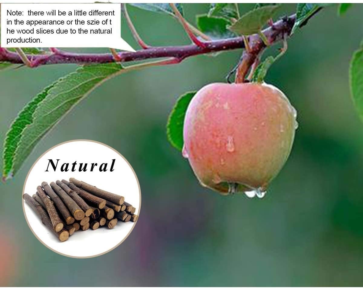 William Craft Apple Sticks Pet Chew Toys Treats for Chinchilla Guinea Pigs Rabbits Squirrel Hamster Bunny - Image 4