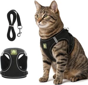 Cat Harness and Leash, 2026 New Cat...