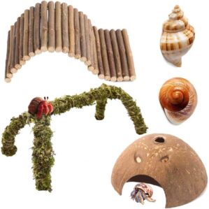Hermit Crab Accessories – 5PCS Na...