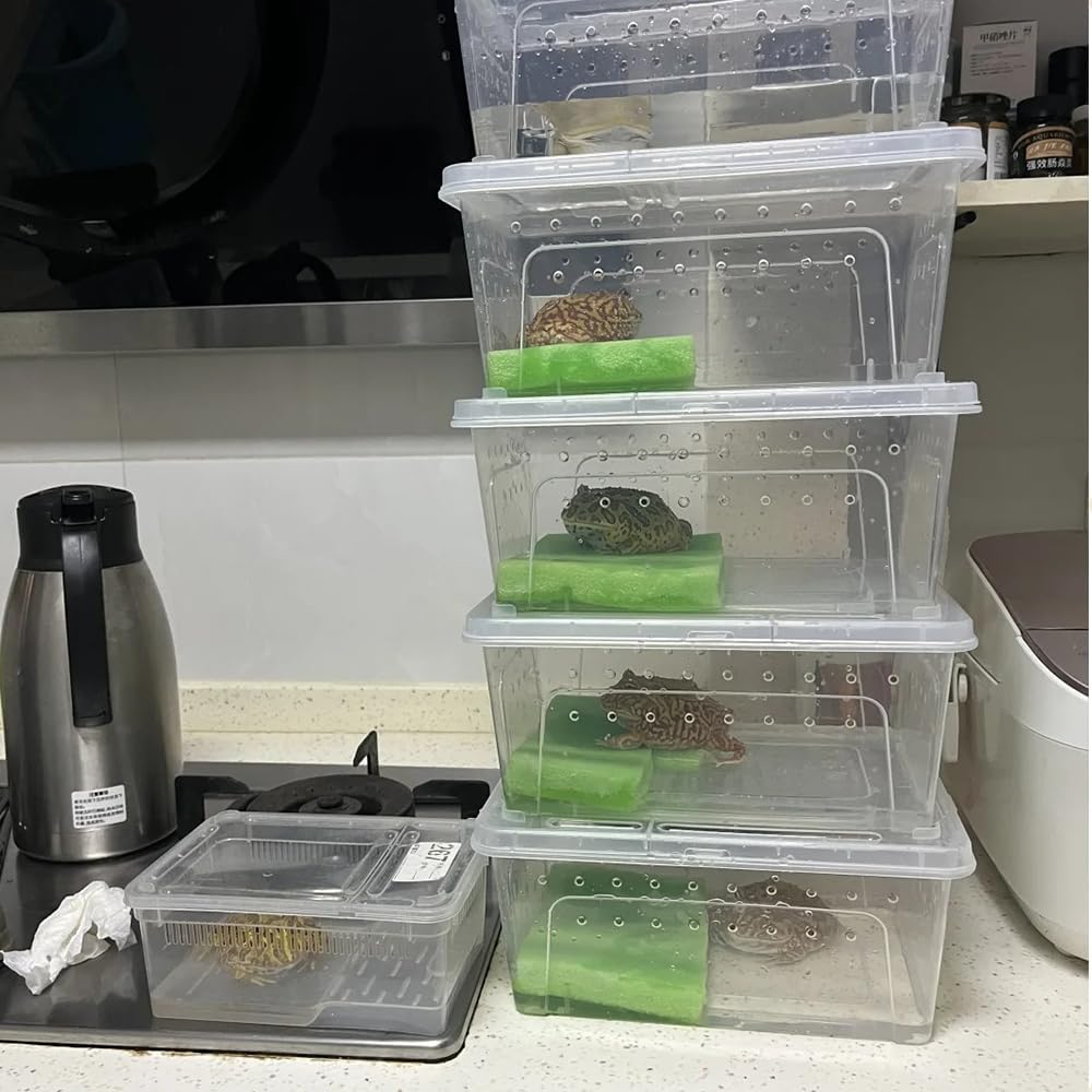 10 Pcs Reptile Feeding Boxs, Plastic Spider Terrariums Breeding Box Feeder Insect Container Feeding Box for Small Reptile Bearded Dragon Lizard Spider Gecko Scorpion 5.9 x 3.9 x 2.5 in - Image 4