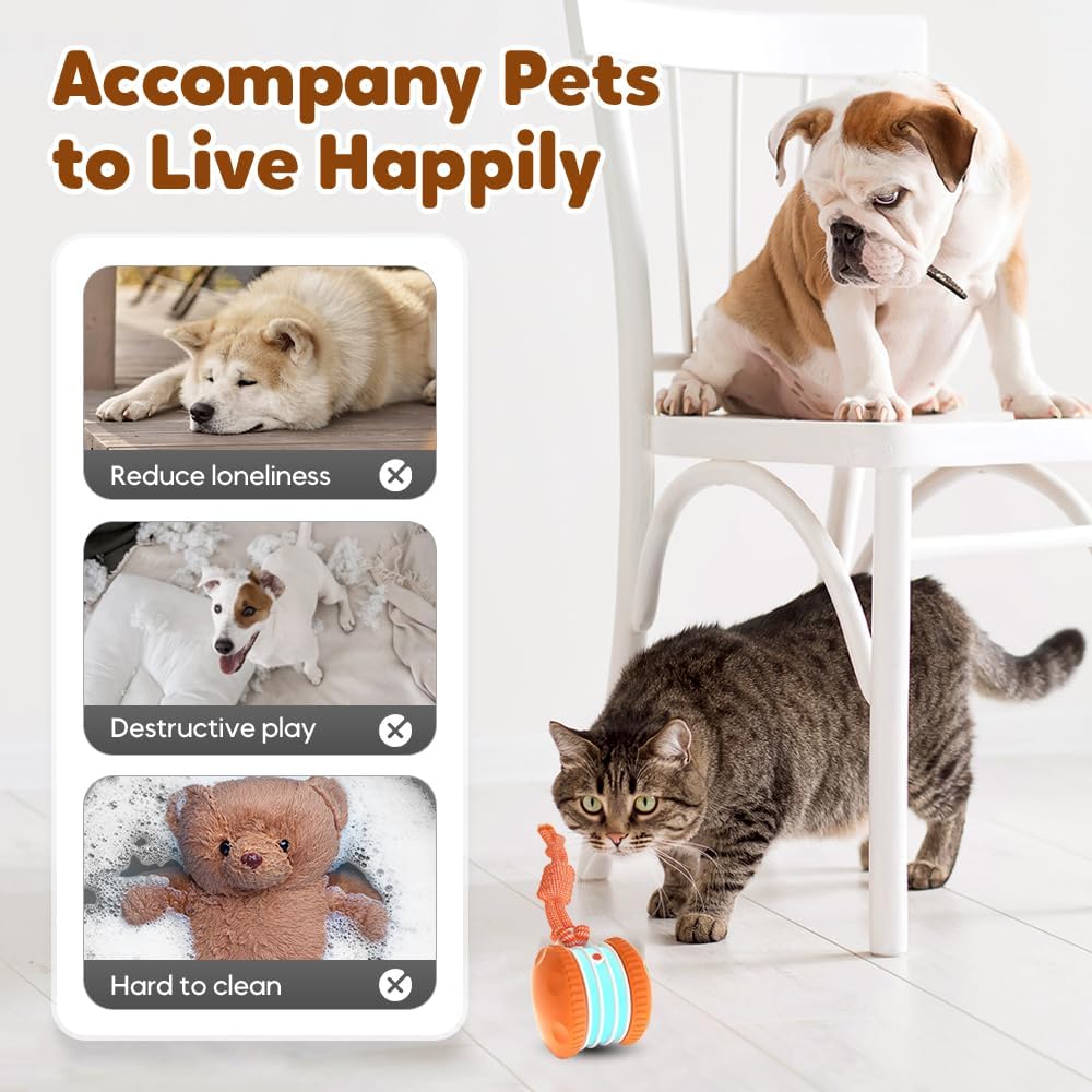 Interactive Dog Toy,2026 New Automatic Rolling Ball with Rope for Cat, Durable Dogs Rope Toy for Chewing and Playing, Dogs Ball Toy for Puppy Cats (Blue/1pcs) - Image 4