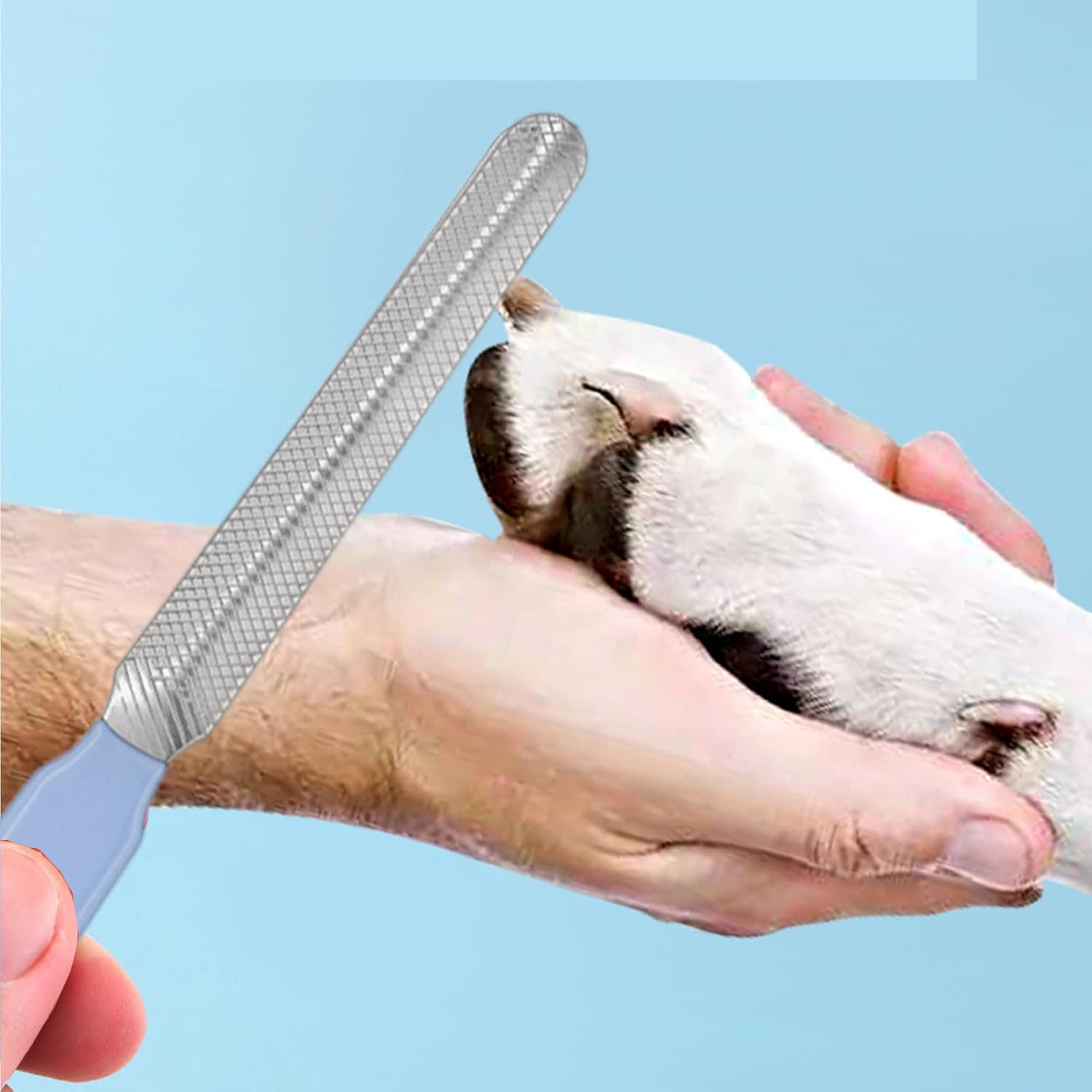 6Pcs Grooming Kit with Brush, Hair Remover, Shampoo Brush, Double-Sided Comb, Nail Clipper and Trimmer for Rabbits, Hamsters, Bunnies, and Guinea Pigs - Blue - Image 7