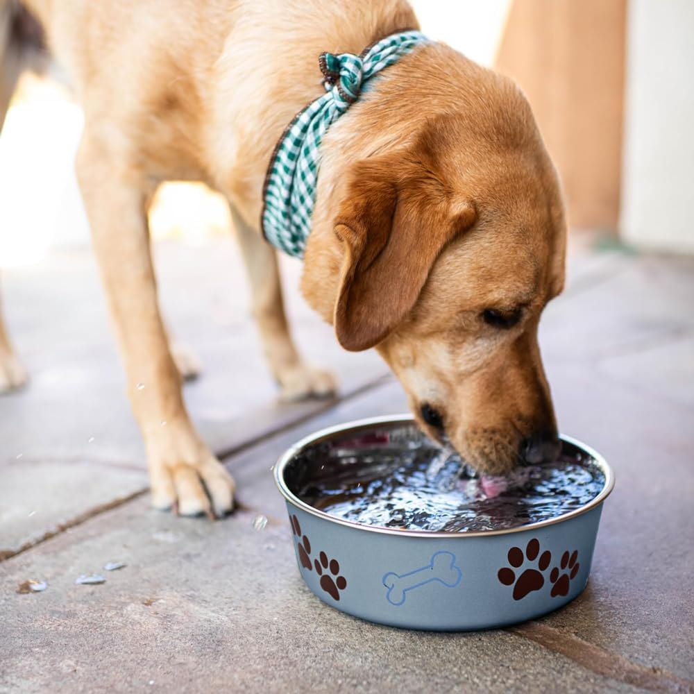 Loving Pets Bella Dog Bowls- Stainless Steel Dog & Cat Bowls - Spill Proof Dog Food Bowl, Cat Bowl, Puppy Essentials & Pet Supplies Great for Home & Travel (Medium 20-35 lbs, Blueberry) - Image 5