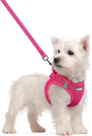 rabbitgoo Dog Harness Small Sized a...