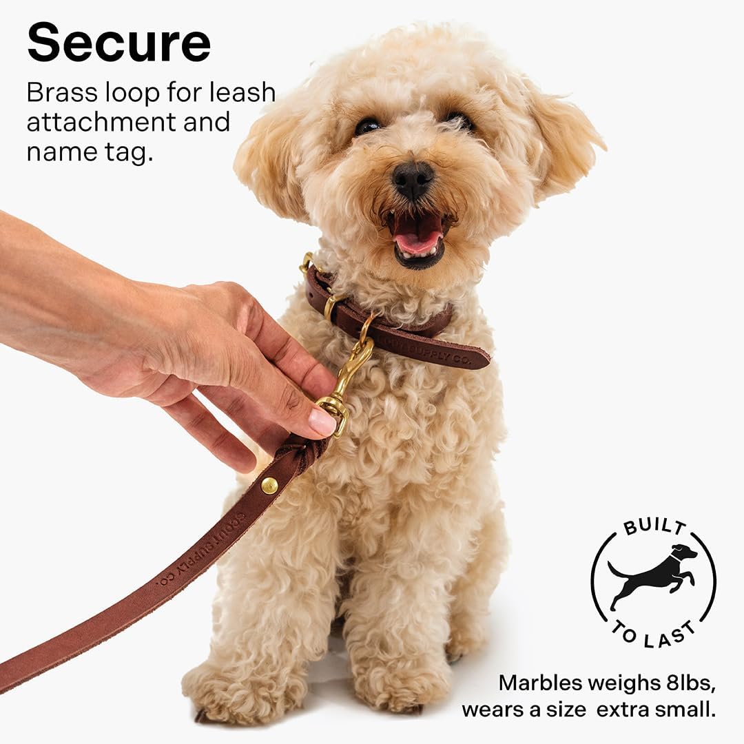 Scout Supply Classic Leather Dog Collar | Heavy Duty Thick Full Grain Leather | Waterproof & Rust-Proof Brass Hardware | Dark Brown (S: 0.8" Wide for 10.5"-13.5" Neck) - Image 5