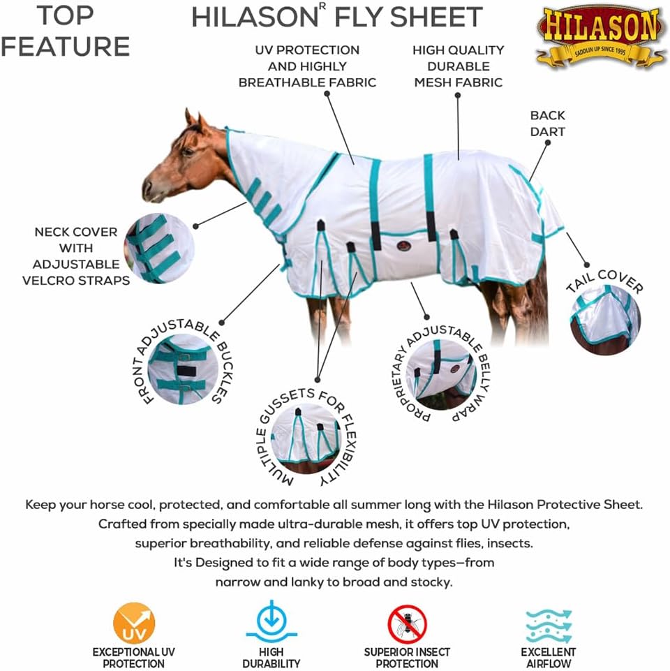 HILASON Horse Fly Sheet UV Protect Breathable Mesh Bug Mosquito Spring | Summer Horse Rug | Fly Rug - Image 2