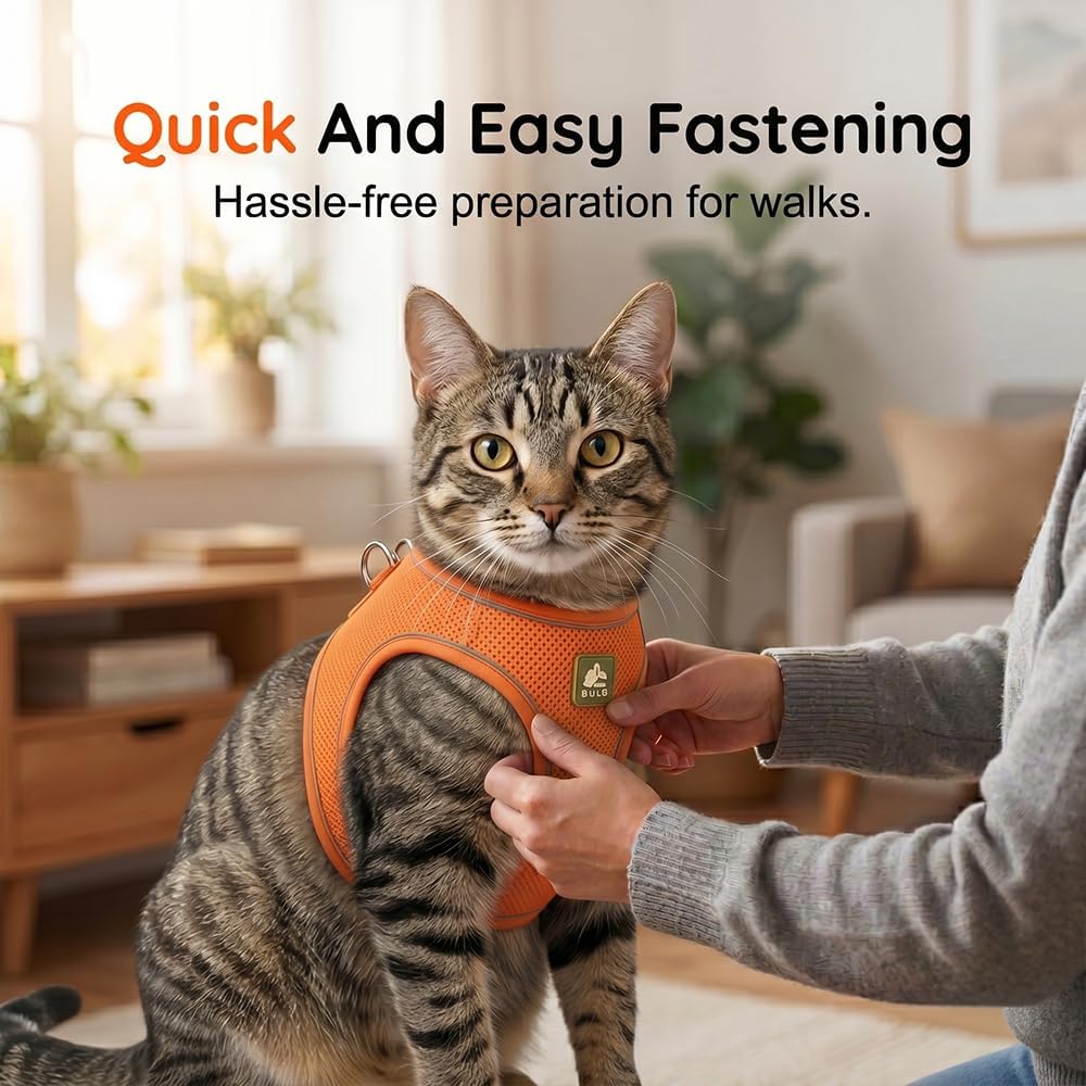 Cat Harness and Leash, 2026 New Cat Harness Escape Proof for Small Medium Large Cats, Breathable Adjustable Vest Harnesses with Reflective Strip for Walking Travel Camping (Black, S) - Image 6