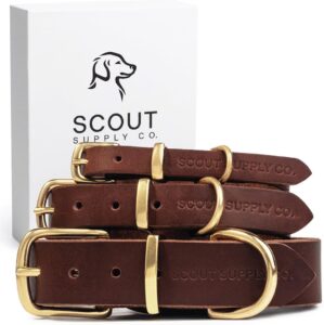Scout Supply Classic Leather Dog Co...