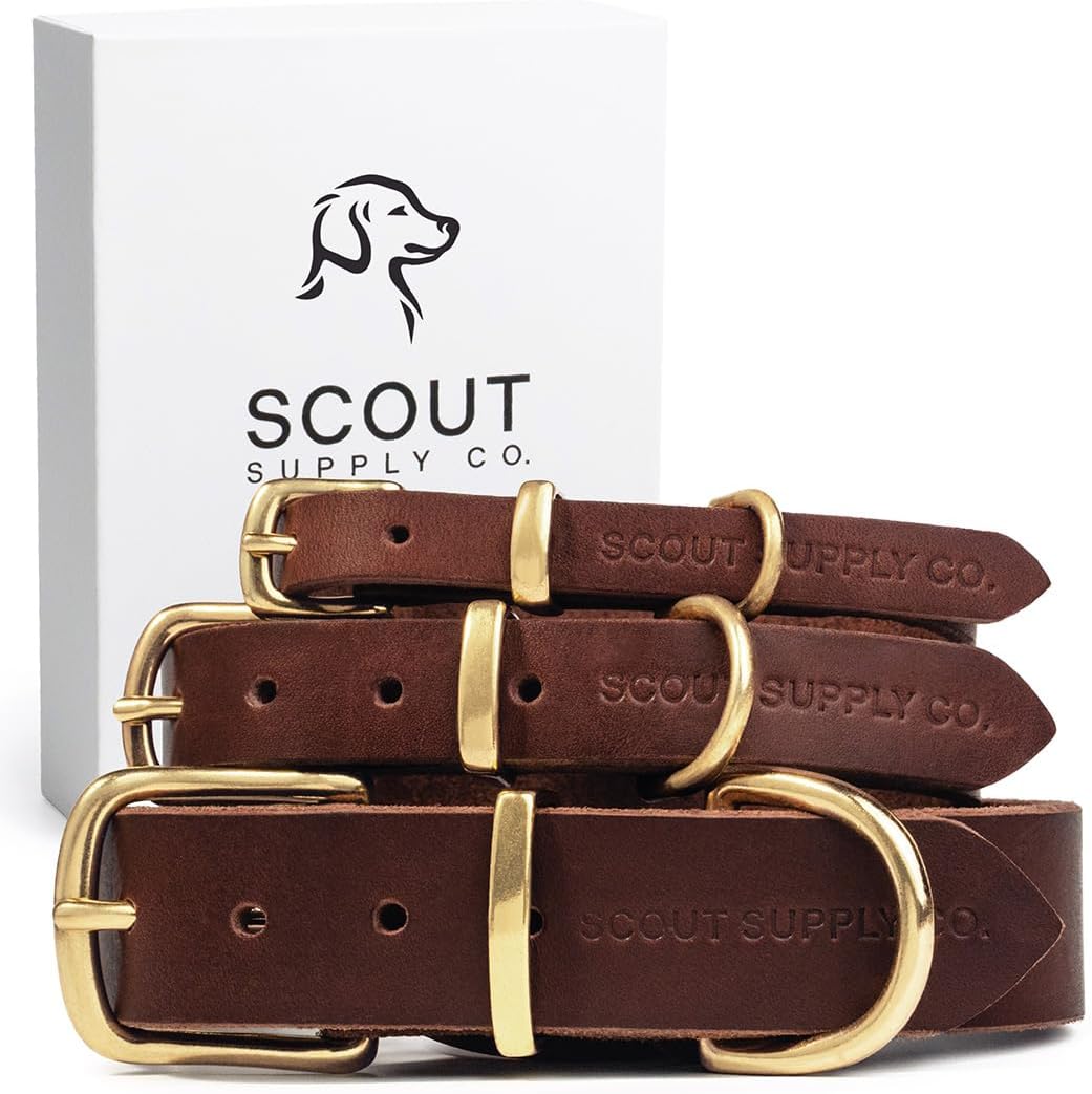 Scout Supply Classic Leather Dog Collar | Heavy Duty Thick Full Grain Leather | Waterproof & Rust-Proof Brass Hardware | Dark Brown (S: 0.8" Wide for 10.5"-13.5" Neck)
