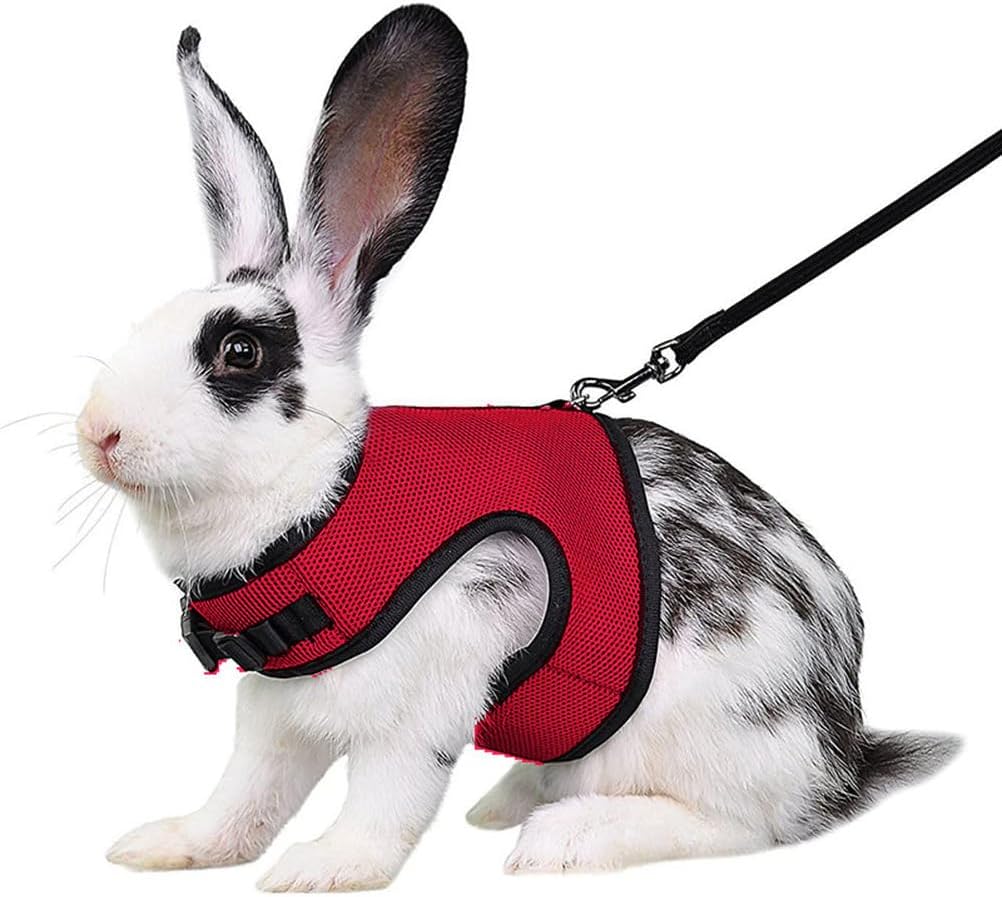 Red Bunny Harness and Leash, Escape Proof Rabbit Harness and Leash Set, Cute Bunnies Vest Clothes Stuff Accessories - Suit for 4-6 Months Rabbit/Ferret 6+Months Guinea Pig, L