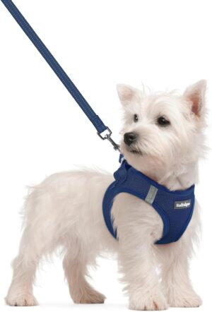 rabbitgoo Dog Harness Small Sized a...