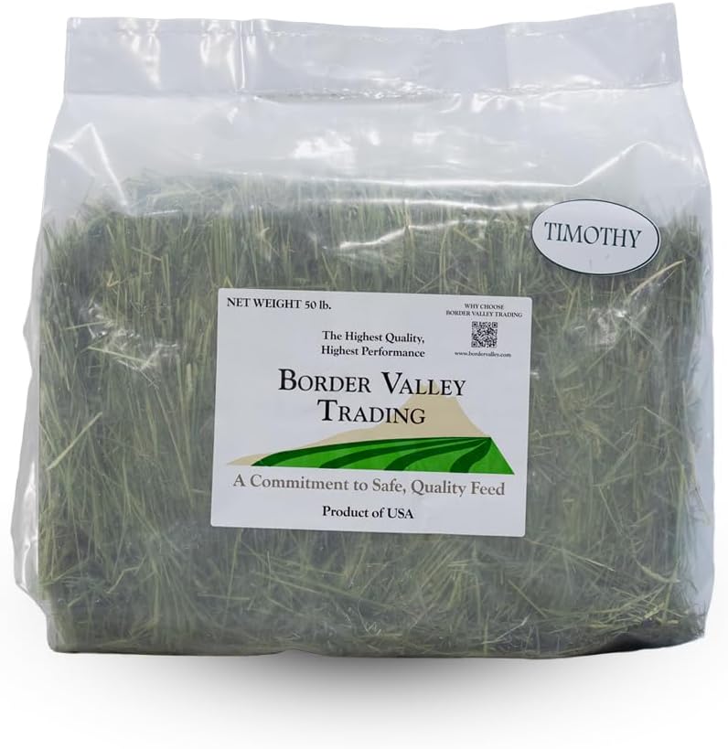 Border Valley Timothy Hay Bale in Bag, 40 lb - High Fiber Grass Hay for Rabbits, Guinea Pigs, Chinchillas, Tortoises, Horses and Livestock - Classic Coarse Grass Hay, Farm-to-Home Freshness - Image 2