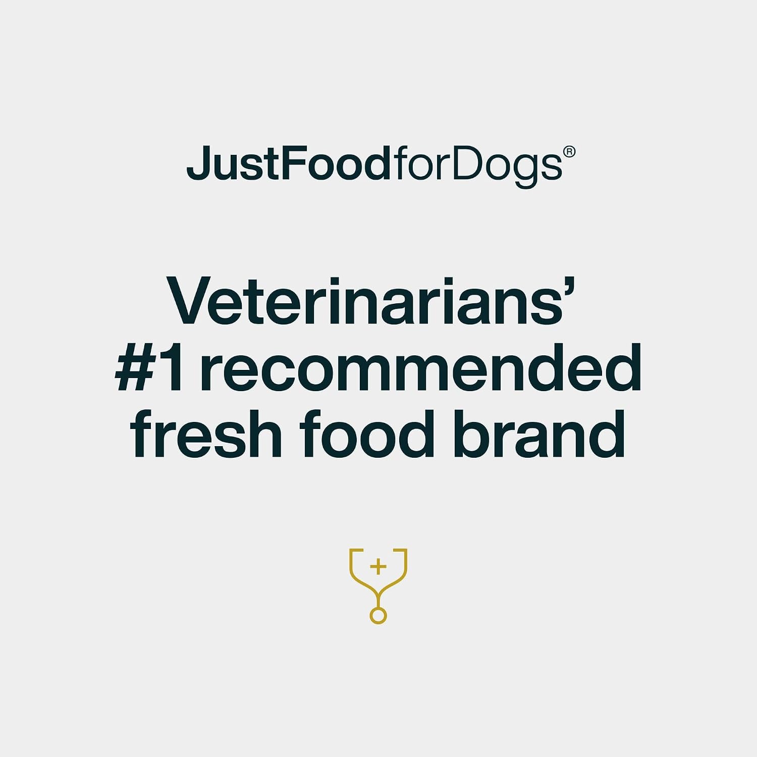 Just Food for Dogs Single Ingredient Healthy Dog Treats and Dog Snacks, Jerky Treats, Human Grade, Preservative and Grain Free, Rawhide Free Chews, Low Calorie Treat - Chicken Breast, 5 oz - Image 6