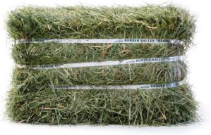 Border Valley Orchard Grass Hay Bal...