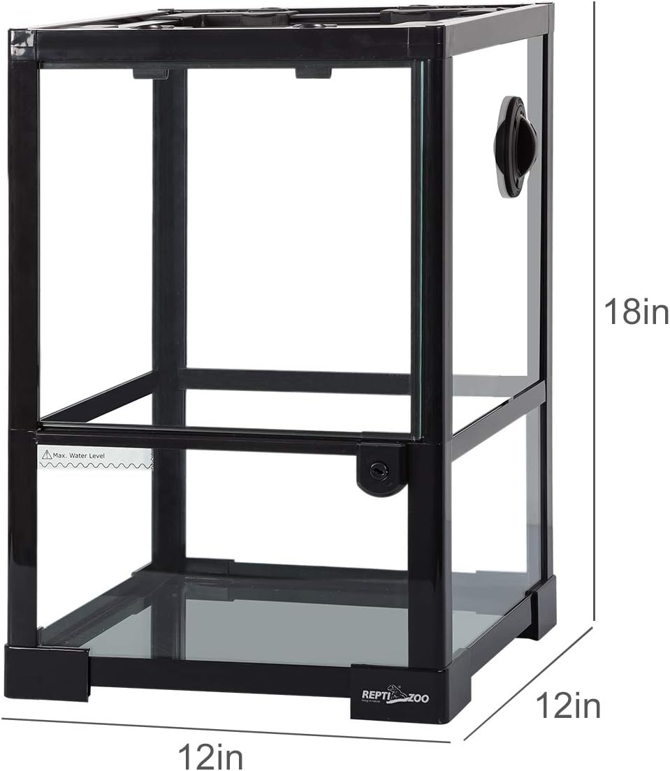 REPTI ZOO Amphibian Habitat Tank 10 Gallon, Full Vision Glass Reptile Terrarium 12" x 12" x 18", Vertical Reptile Tank with Deep Base & Top Screen Ventilation - Image 2