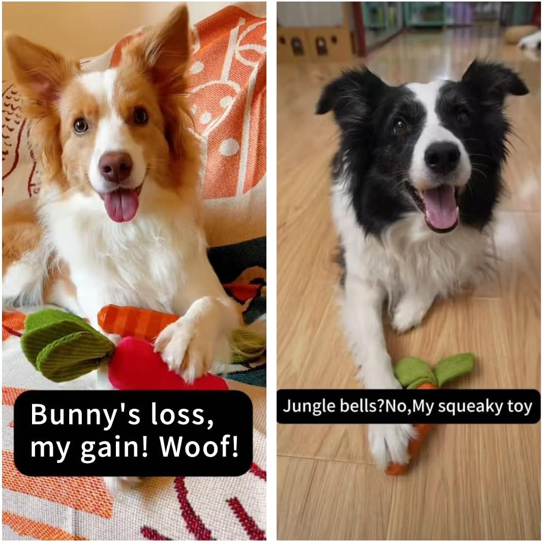 MewaJump Dog Squeaky Chew Toys for Aggressive Chewers, Rubber Carrot Dog Toys for Training and Cleaning, Durable Interactive Tough Dog Toy for Puppy Medium Dogs - Image 2