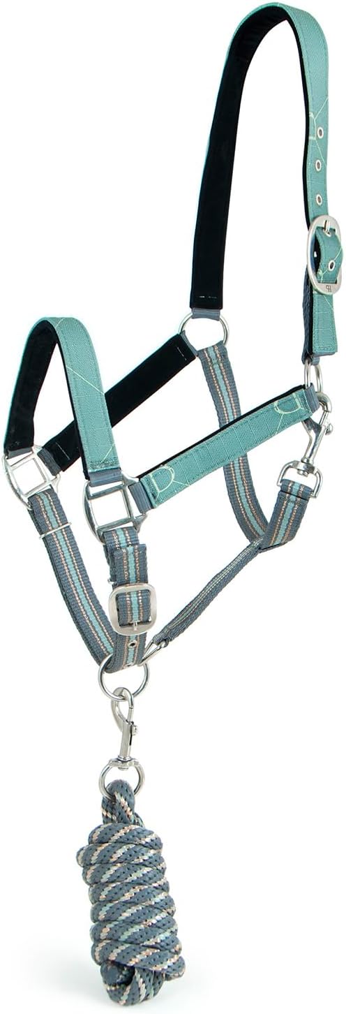 Jeffers Poplar Head Adjustable Padded Nylon Halter & Matching Lead Set with Quick Snap for Horses, Full Size Horse Halter with Padded Noseband & Crown, Equestrian Training Tack for Stable or Ranch Us