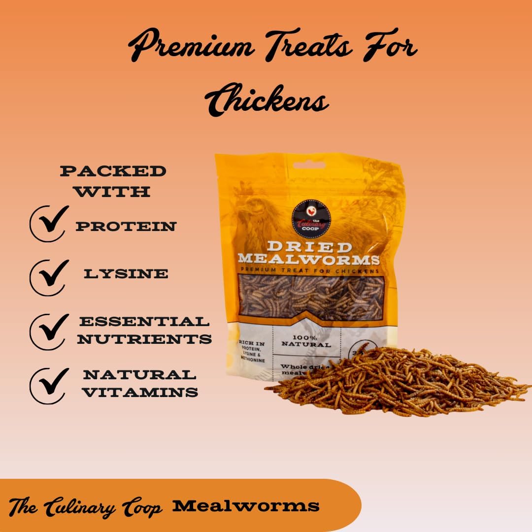 Fluker's Culinary Coop Premium Chicken Treats, Mealworms 3.5 oz, High Protein Worm, Nutritious Treat - Image 3