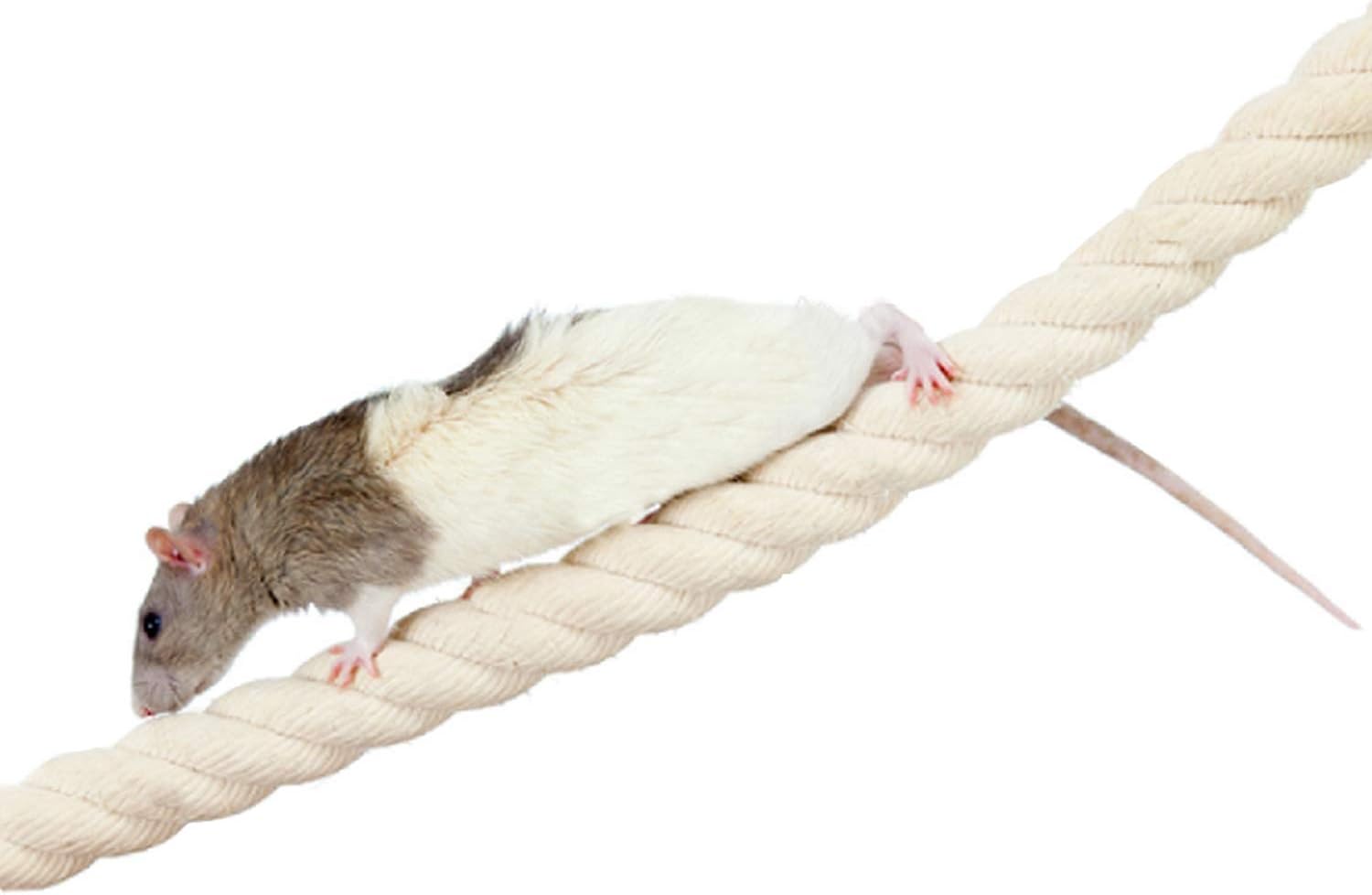 42 Inch Natural Rope (Regular) - Flexible Bendable Climbing Rope Perch Cage Accessory Toy - Sugar Gliders, Squirrels, Degus, Marmosets, Monkeys, Parrots, Birds, Rats & Other Small Pets - Image 3
