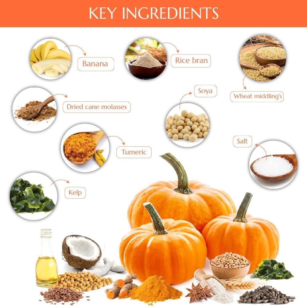 Kelcies Pumpkin Spice Horses Treats - Low Sugar, Starch, and Carbohydrates | Healthy Treats for Horse Supports Superior Digestion 2 Pounds (Pack of 2) - Image 8