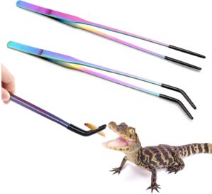 2PCS Stainless Steel Reptile Feedin...