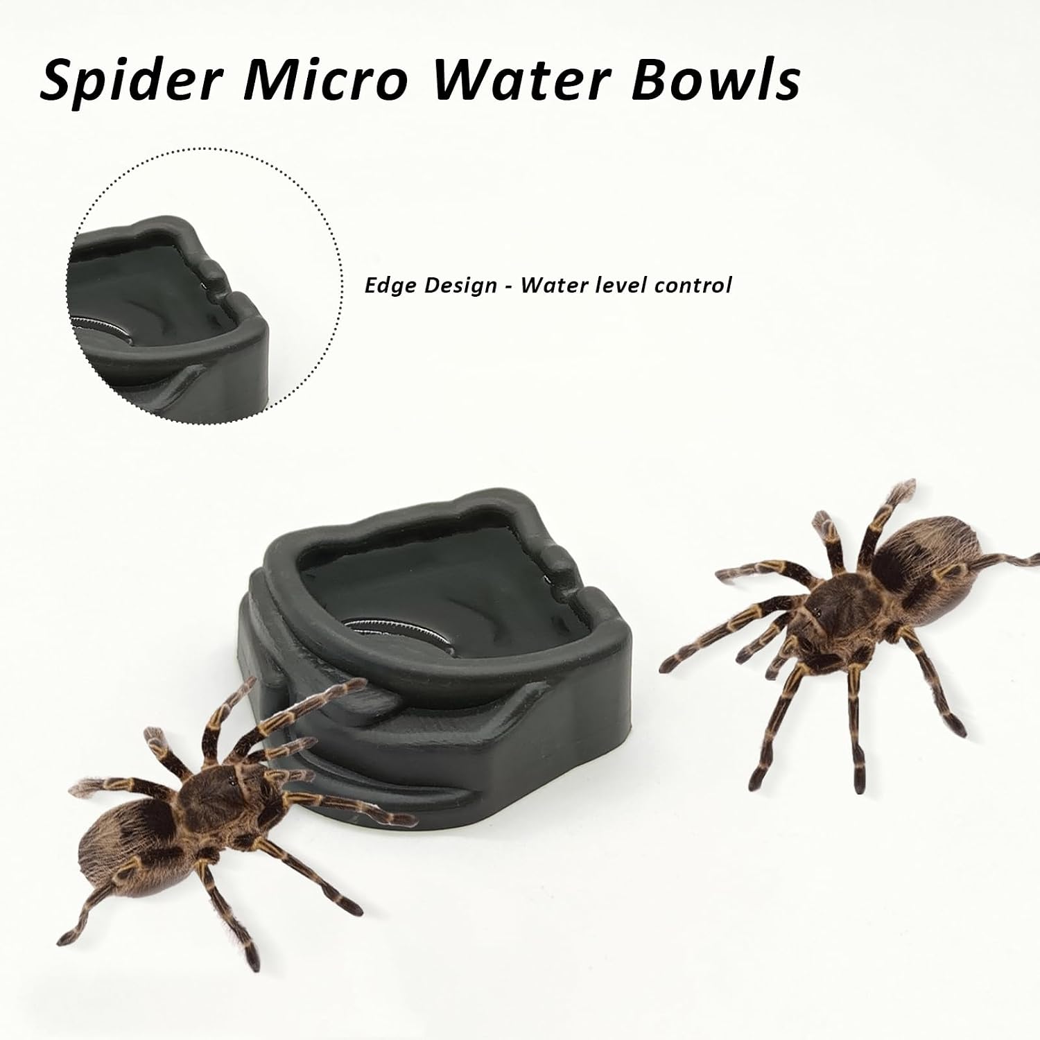 6 Pcs Spider Micro Water Bowls, Mini Resin Dish for Tarantula, Spider, Millipede and Tiny Reptiles, Food/Water Dish for Enclosure Accessories (1.65" D, 0.59" H) - Image 3