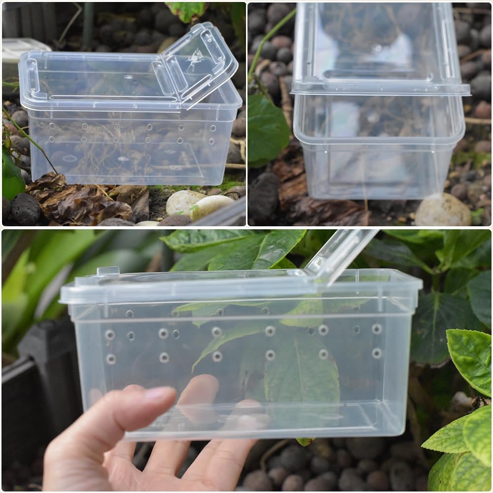 10 Pcs Reptile Feeding Boxs, Plastic Spider Terrariums Breeding Box Feeder Insect Container Feeding Box for Small Reptile Bearded Dragon Lizard Spider Gecko Scorpion 5.9 x 3.9 x 2.5 in - Image 3