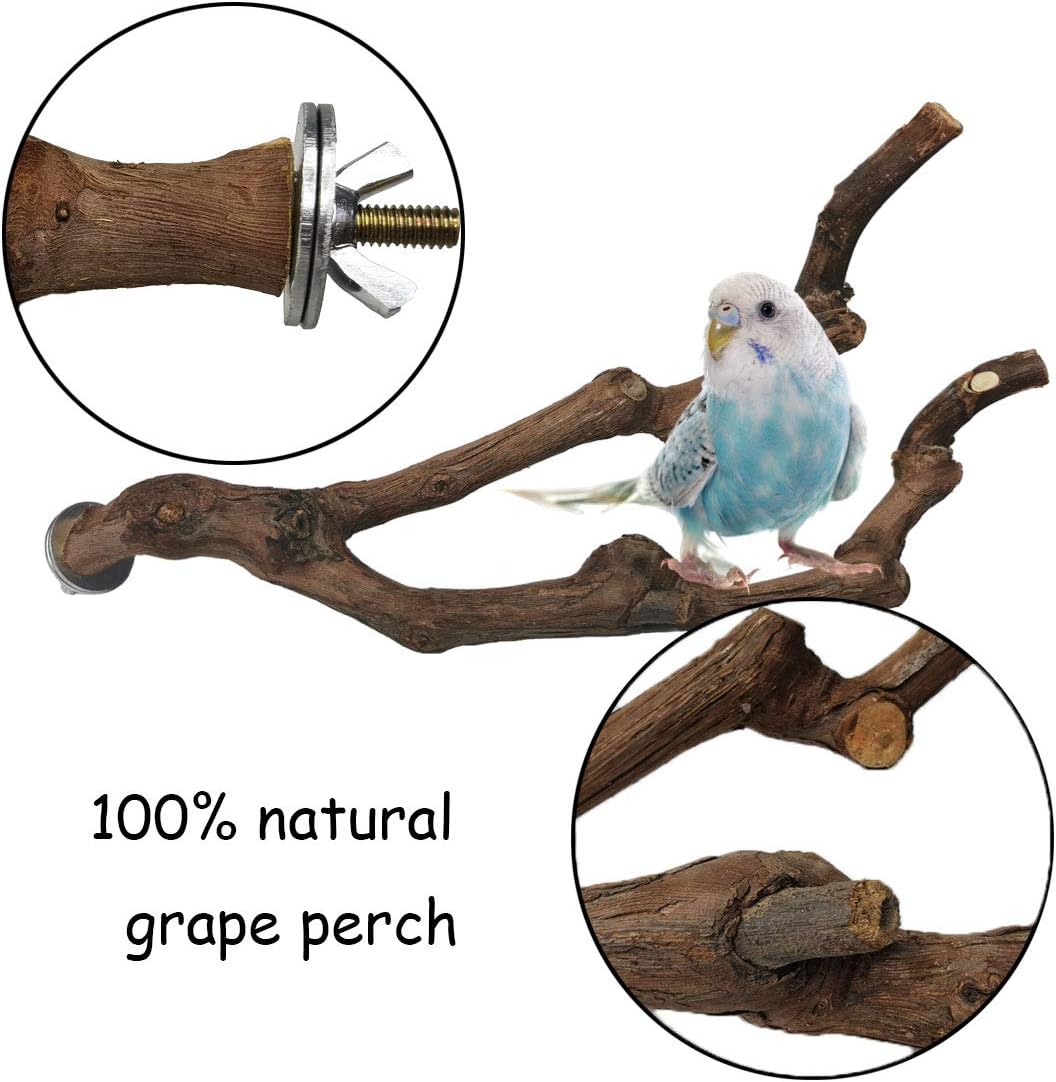 kathson Natural Parrot Perch Bird Stand Pole Wild Grape Stick Paw Grinding Fork Parakeet Climbing Standing Branches Toy Chewable Cage Accessories for Small Budgies Cockatiels Lovebirds 3PCS - Image 2