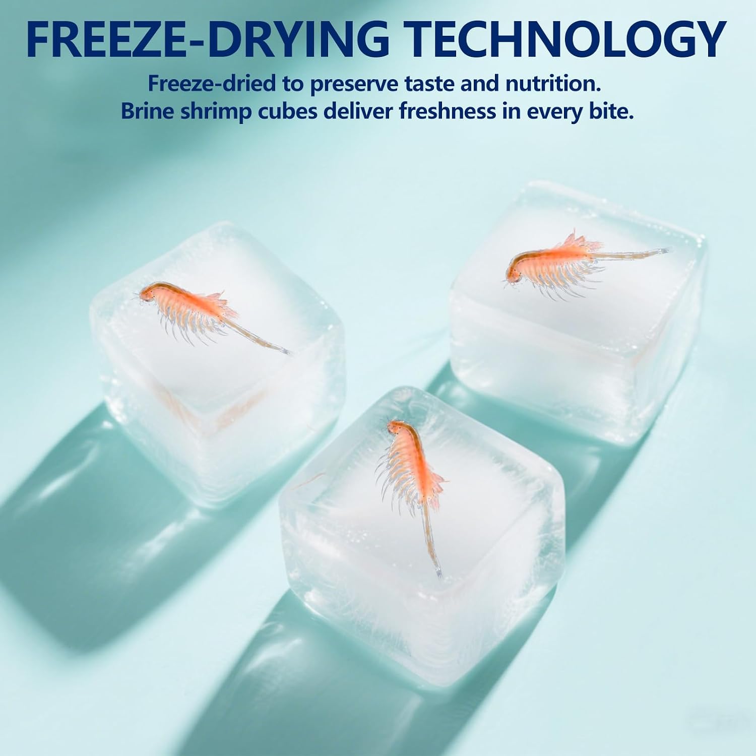 Freeze Dried Brine Shrimp Cubes 4.5 OZ, Brine Shrimp Freeze Dried Aquatic Foods for Tropical Fish Marine Fish and Aquatic Turtles. - Image 3