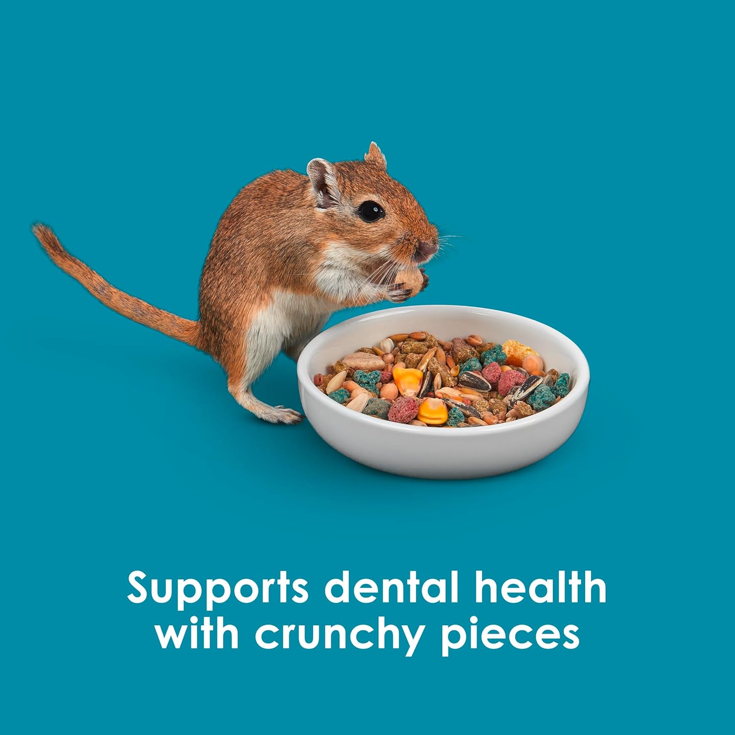 Kaytee Forti-Diet Pro Health Nourish+Protect Hamster and Gerbil Food, Comprehensive Nutrition Backed by Science, Digestive Health, Immune Support, 3 Pounds - Image 8