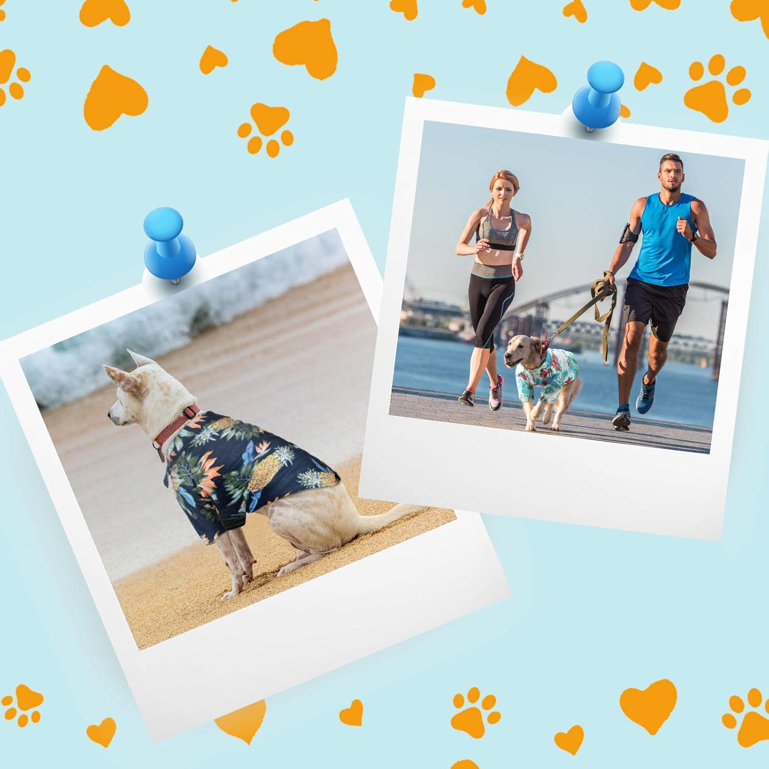 Weewooday 4 Pieces Small Pet Summer T-Shirts Hawaii Style Floral Pet Dog Shirt Breathable Cool Clothes Beach Seaside Puppy Sweatshirt for Puppy(Floral Style,X-Small) - Image 6