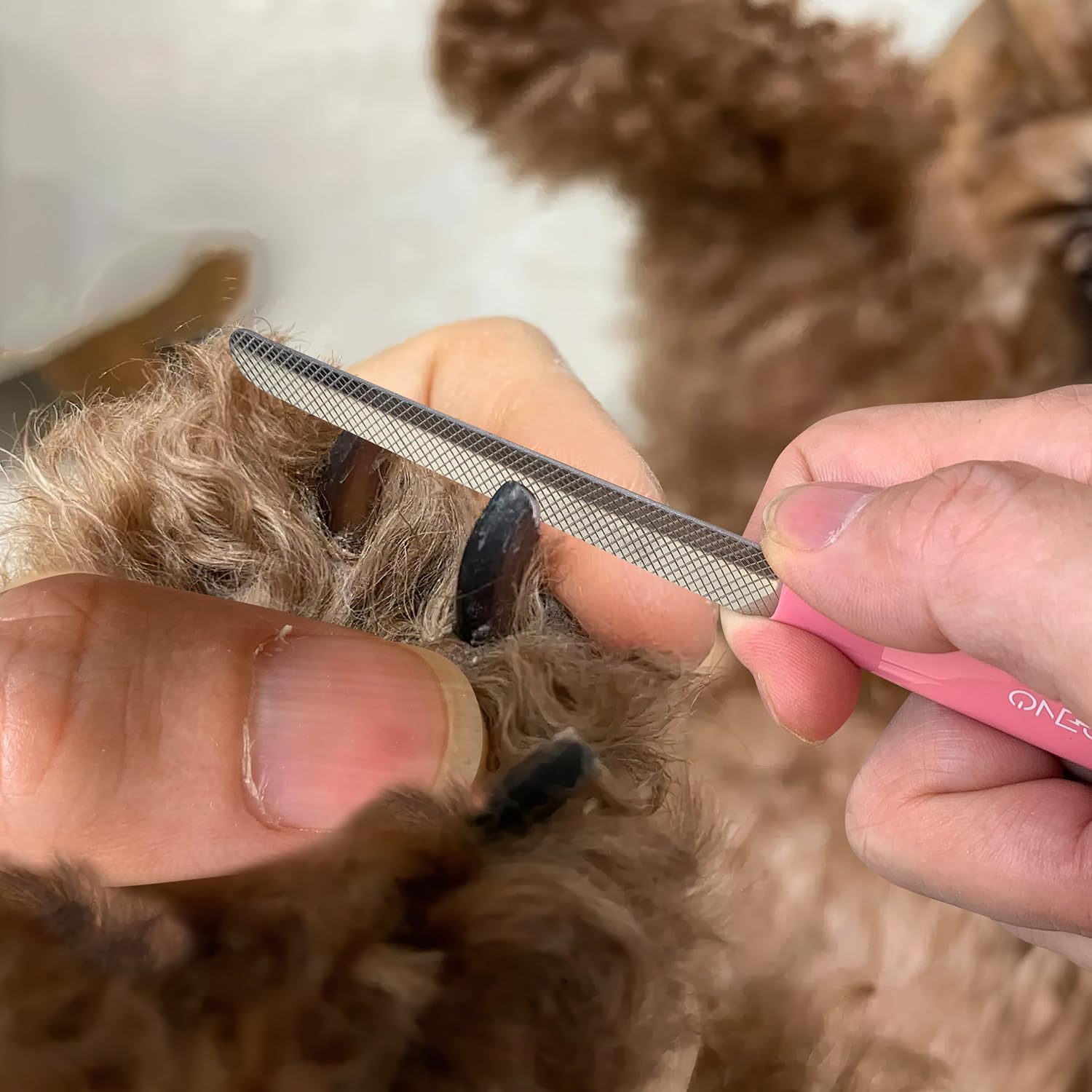 6" Dog Nail Clippers for Small, Medium and Large Breed Professional Pet Nail Trimmers -Suitable for Cats, Rabbits and Guinea Pigs with Safety Guard to Avoid Over Cutting (Pink) - Image 8