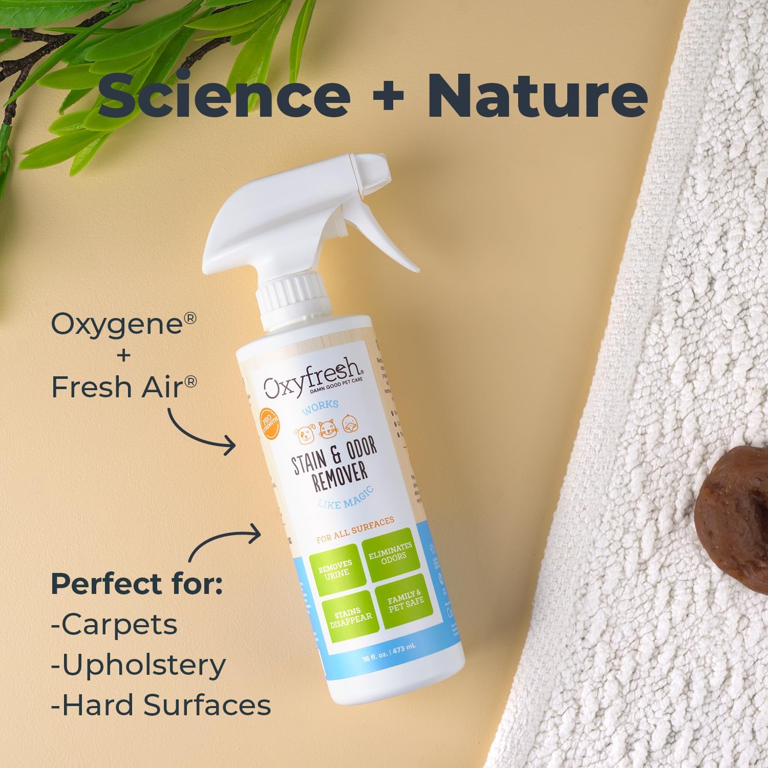 Oxyfresh Pet Stain & Odor Remover, Strong Carpet Stain Remover & Cleaner Spray – Advanced Pet Urine Odor Eliminator for Entire Home - Fast Acting Dog & Cat Urine Neutralizer - Image 4